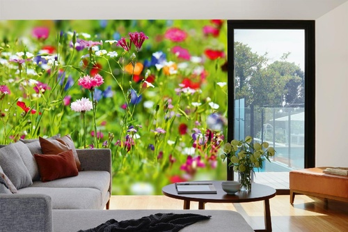 Vlies Fototapete - Kleine Blüten 375 x 250 cm
